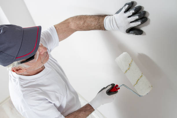 Best Wallpaper Removal and Painting  in Roseland, OH